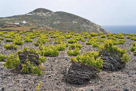 Tour image 5